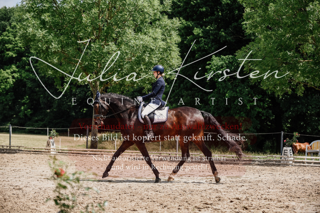DSC_1468 | Pferde- und Turnierfotografie in Westsachsen. Pferdeportraits, Auftragszeichnungen und intuitive Kunst.