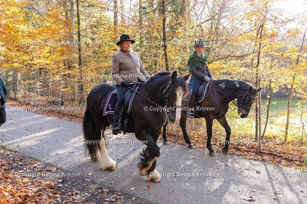 LL24-354 | foto-bettina-krinner - Realisiert mit Pictrs.com