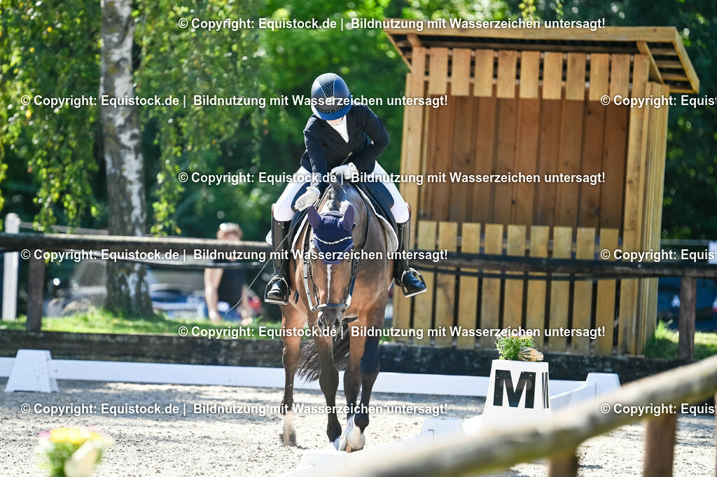 20230908_06_Dressur-L-Trense_0474 | equistock