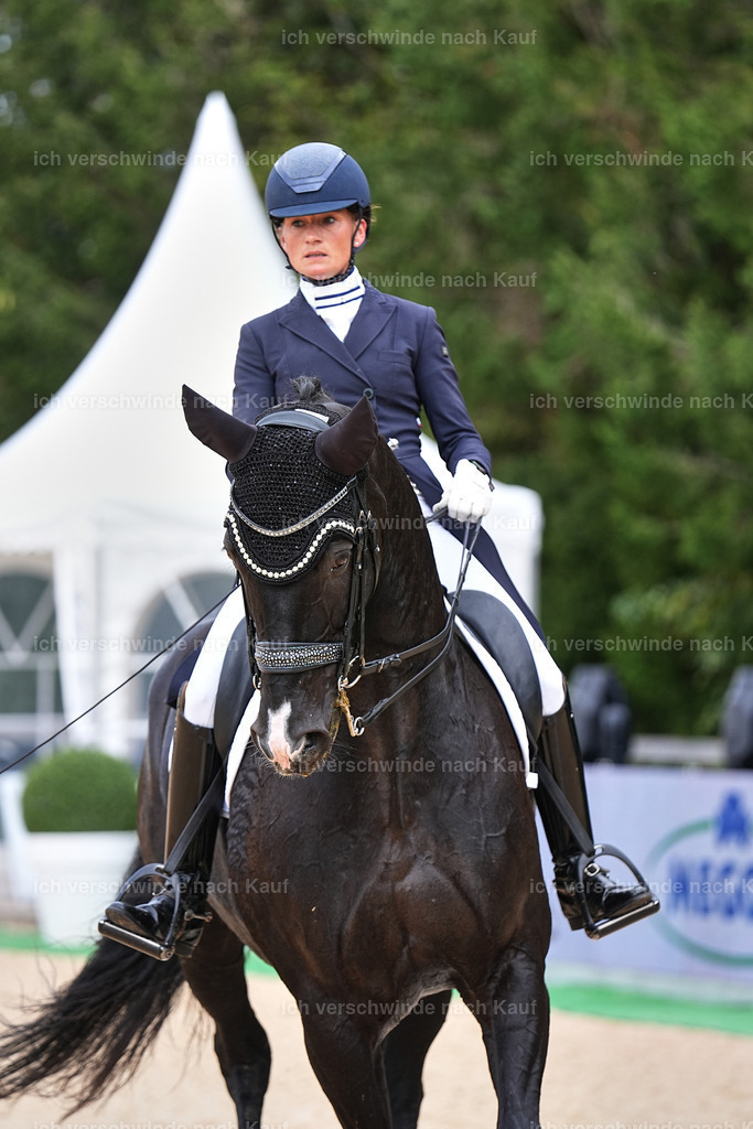 11-042-Dressur S___-Marixx-1663 | working equitationturnier fotograf videograf stoibphotography marixx film working equitation deutschland reitsport turnierfotografie eventfotografie equestrian events
