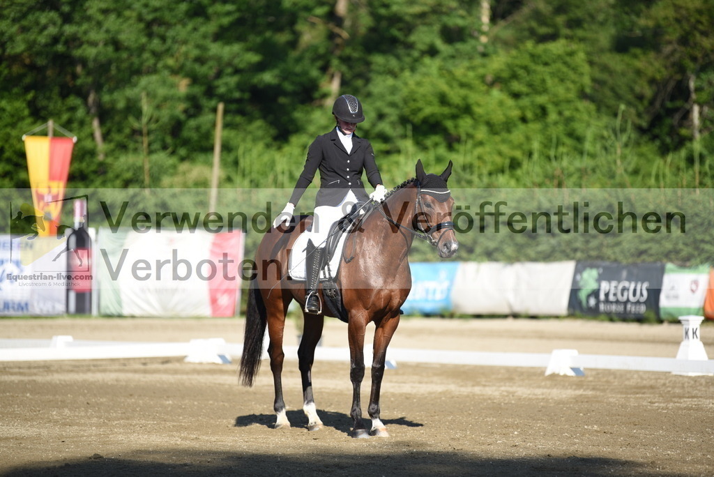 DSC_6833 | equestrian-live-com