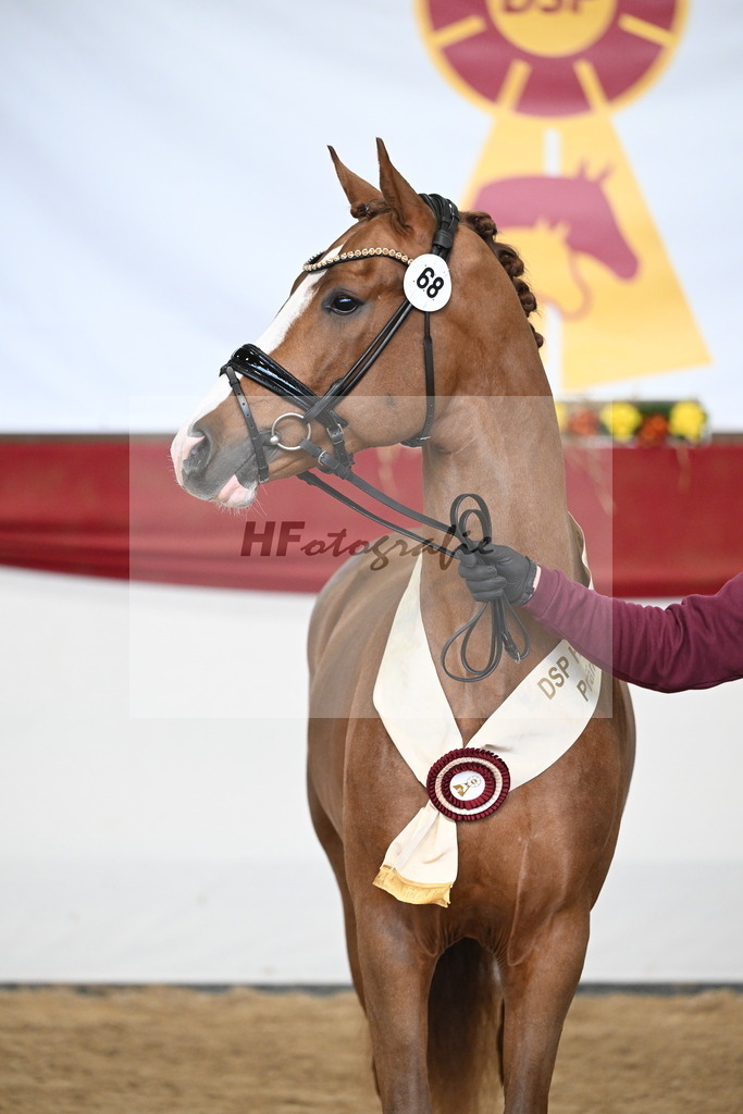 Kat.-Nr. 68 v. Juwel_Westhoff _ Rothenberger_3265467 | hf-fotografie - Realisiert mit Pictrs.com