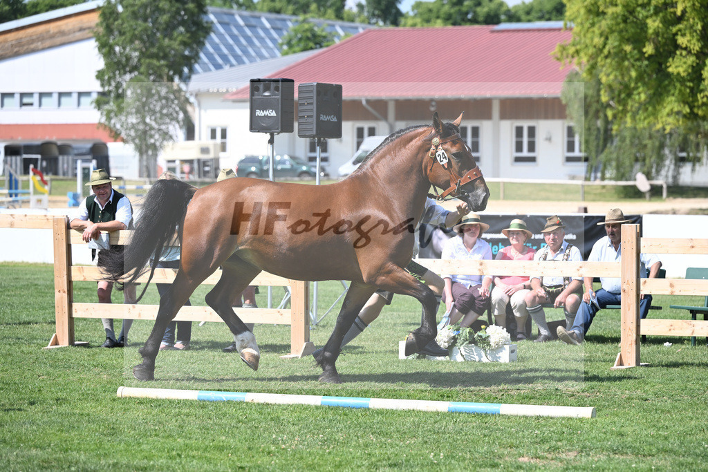 Kat-Nr. 24 Pepper_Gasteiger_20230354 | hf-fotografie - Realisiert mit Pictrs.com