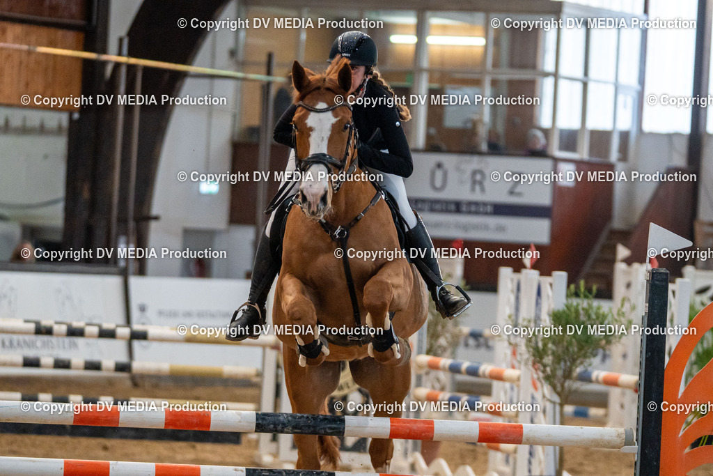 Kranichstein Tag 2-037 | dv-media-shop - Realisiert mit Pictrs.com