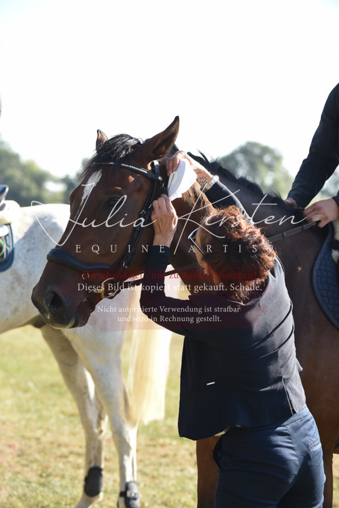 DSC_5452 | Pferde- und Turnierfotografie in Westsachsen. Pferdeportraits, Auftragszeichnungen und intuitive Kunst.