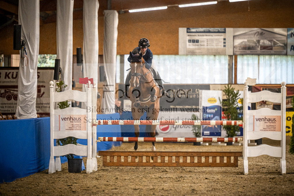 DOS_B1233 | Entdecke hochwertige Reitturnierfotos von Foto Oger. Professionell, emotional und authentisch – jetzt Lieblingsmomente im Shop bestellen.Deutschlandweite Turnierfotografie. - Realisiert mit Pictrs.com
