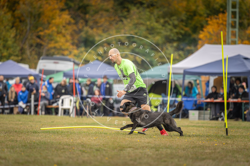 Pfotenfotografie_DV3A5208 | Hundefotografie, Tierfotograf, Pfotenfotografie, Fotoshooting Hund, Hunde Portrait, Hundesport, Hundeportraits, Heideshooting, Hunde, Sportfotograf, Hundefotograf, Turnierhundsport, THS,  - Realisiert mit Pictrs.com