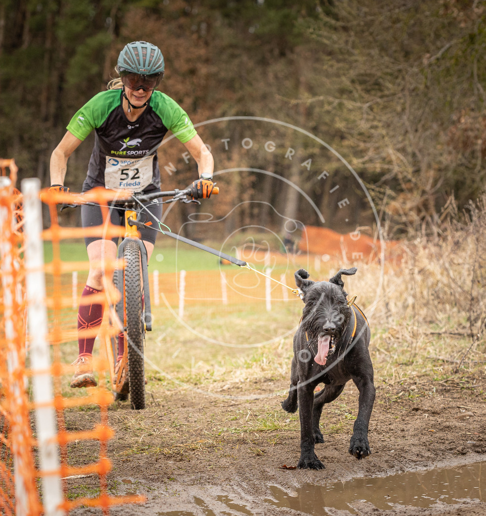 DV3A1547 | Hundefotografie, Tierfotograf, Pfotenfotografie, Fotoshooting Hund, Hunde Portrait, Hundesport, Hundeportraits, Heideshooting, Hunde, Sportfotograf, Hundefotograf, Turnierhundsport, THS,  - Realisiert mit Pictrs.com