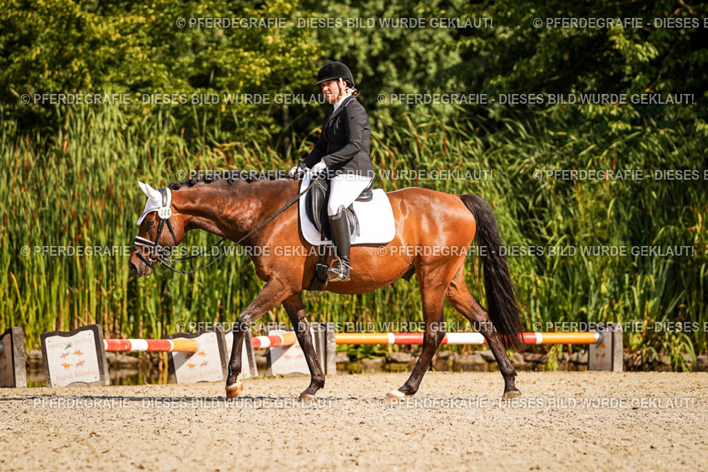 DSC00488 | Pferdegrafie