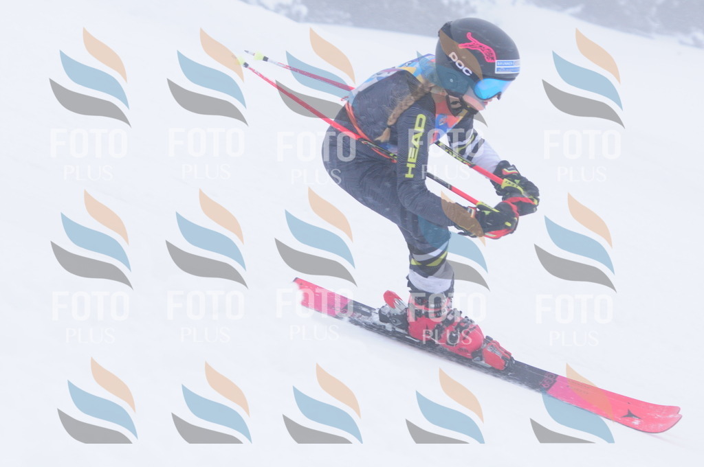 C1915 | holidayphoto