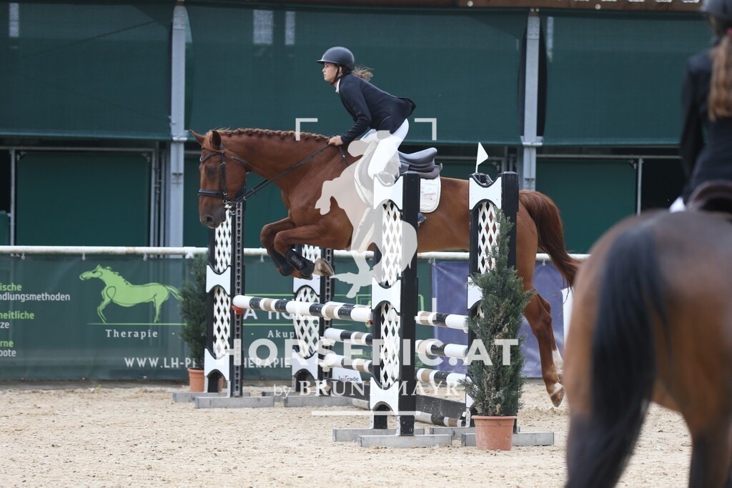 DL2Q9354 | Willkommen bei Brunnmayr - Design & Fotografie – Ihrem Spezialisten für Reitturniere und Pferdeveranstaltungen in Oberösterreich, Salzburg und Bayern! Seit über 17 Jahren sind wir leidenschaftlich dabei.