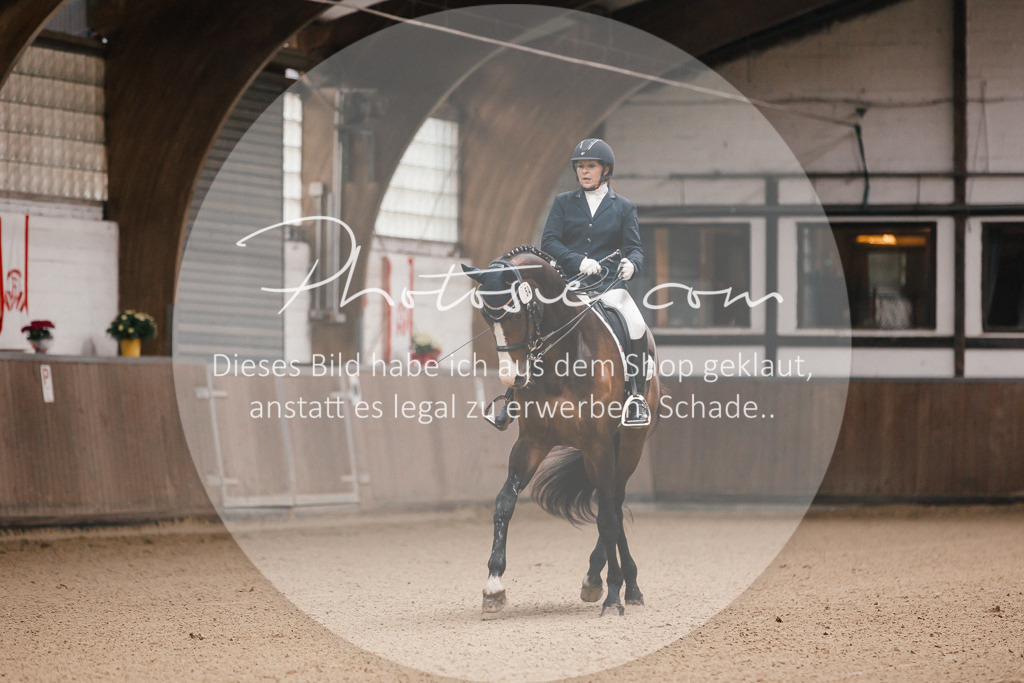 3I6A8615 | Stimmungsvolle Portraits und Reitsportfotografie im Ruhrgebiet und im Münsterland.

Pferdefotografie, Hundefotografie, Tierfotografie, Reportagen, Portraits von Tier und Mensch, Turnierfotografie in Bochum, Recklinghausen, Marl, Haltern am See, Dülmen.. - Realisiert mit Pictrs.com