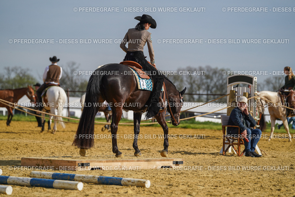 DSC01316 | Pferdegrafie