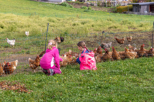 Familienwandertag der Stadtgemeinde Feldkirchen | Bildershop von pixelworld.at - Realisiert mit Pictrs.com