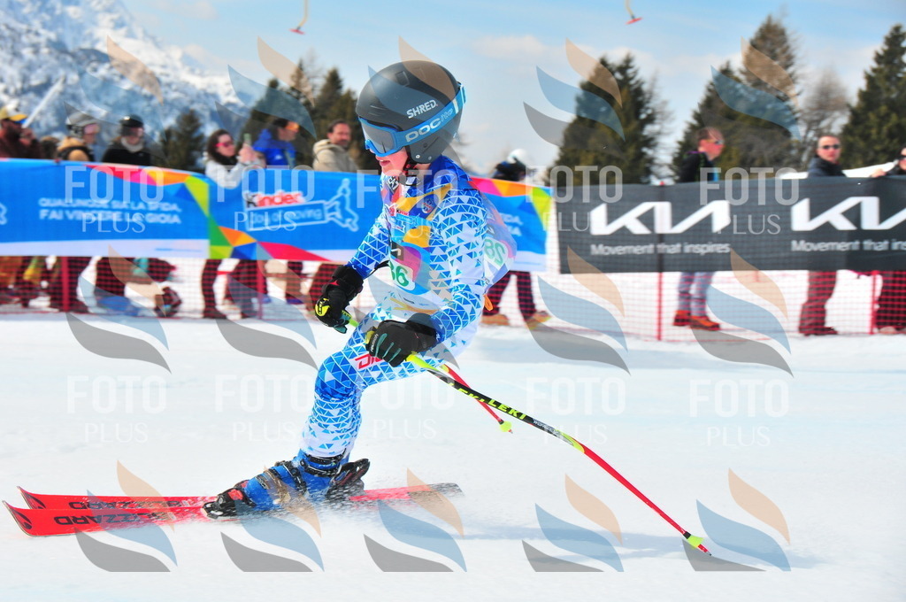 DSC_2668 | holidayphoto