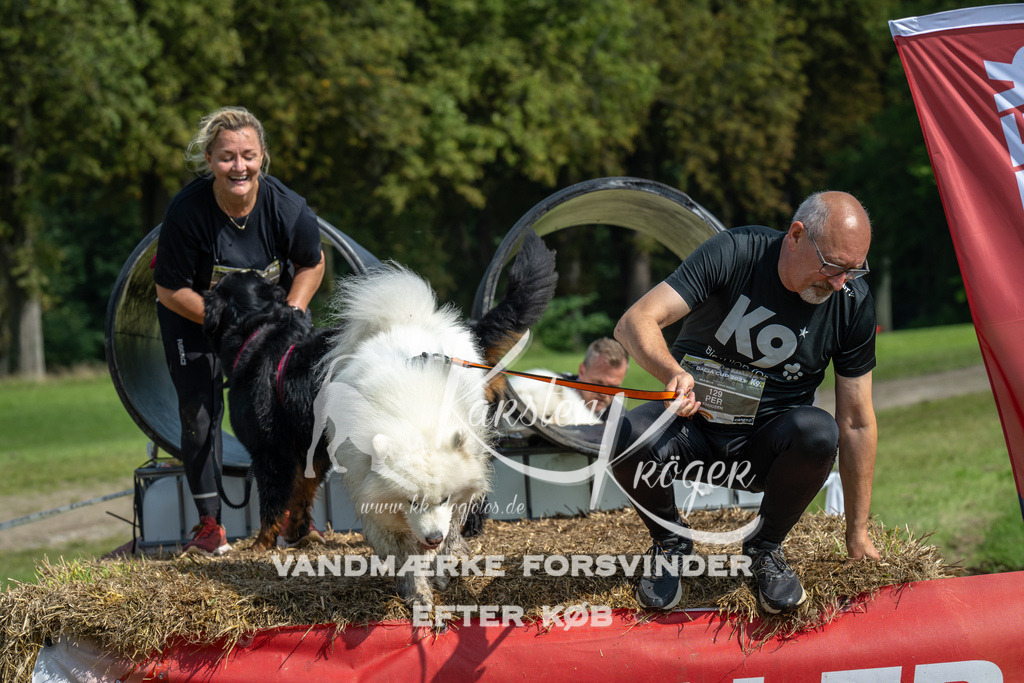 1314_ZZ92693 | kk-dogfotos