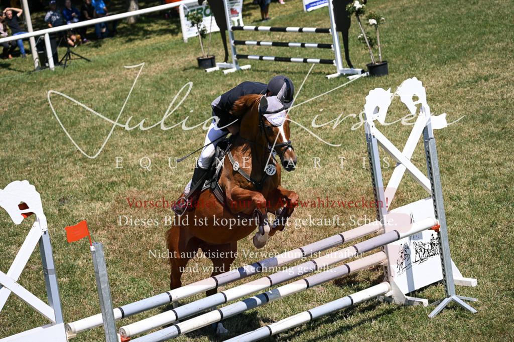 DSC_9986 | Pferde- und Turnierfotografie in Westsachsen. Pferdeportraits, Auftragszeichnungen und intuitive Kunst.