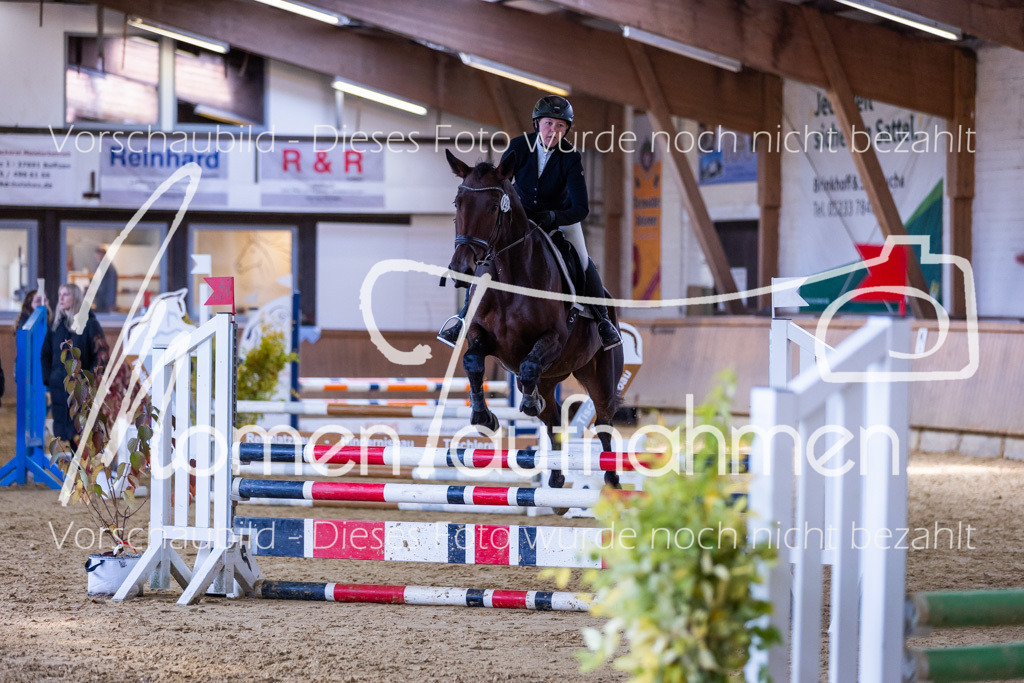 Sth-Gewöhnung-030 | MomenTaufnahmen Pferdesportfotos