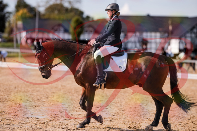 2026_10_03_Siefer-Hof_130212_Z81_55467687 | Professionelle Reitsport-, Turnier- und Eventfotografie von Robert Broda. Galerien mit ausgewählten und bearbeiteten Bildern direkt online ansehen und bestellen.