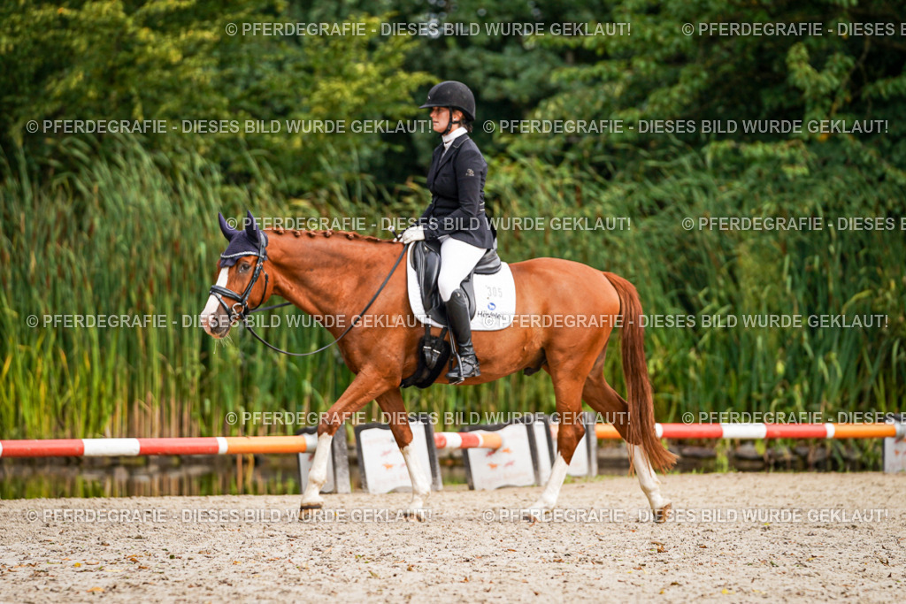 DSC01803 | Pferdegrafie