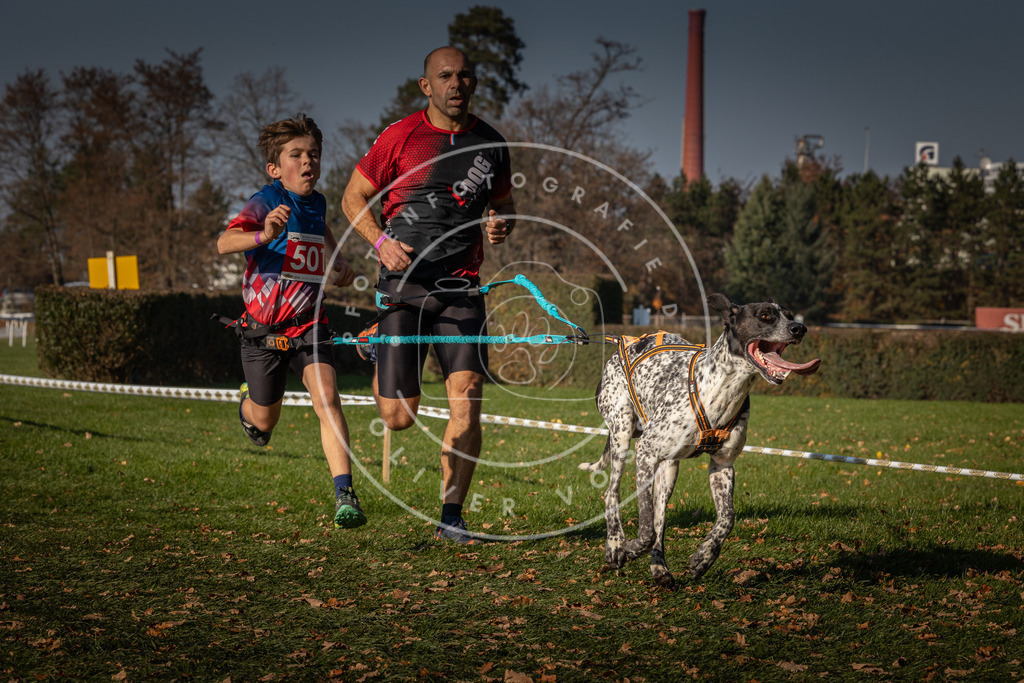 CaniXpix_0L8A8245 | Hundefotografie, Tierfotograf, Pfotenfotografie, Fotoshooting Hund, Hunde Portrait, Hundesport, Hundeportraits, Heideshooting, Hunde, Sportfotograf, Hundefotograf, Turnierhundsport, THS,  - Realisiert mit Pictrs.com