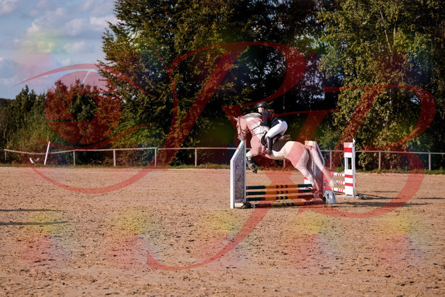 2026_10_03_Siefer-Hof_153917_Z81_54169482 | Professionelle Reitsport-, Turnier- und Eventfotografie von Robert Broda. Galerien mit ausgewählten und bearbeiteten Bildern direkt online ansehen und bestellen.