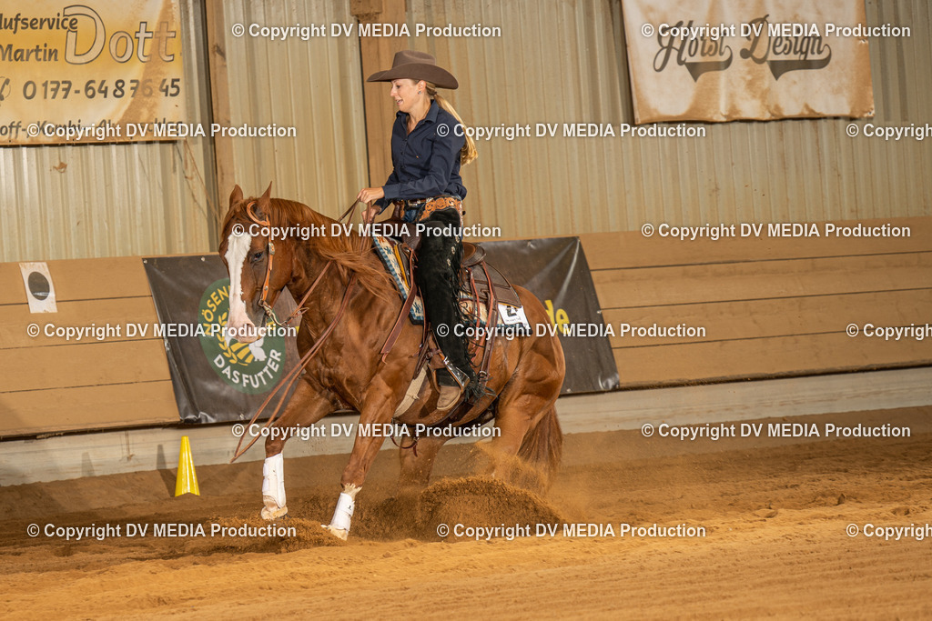 NID02168 | dv-media-shop - Realisiert mit Pictrs.com