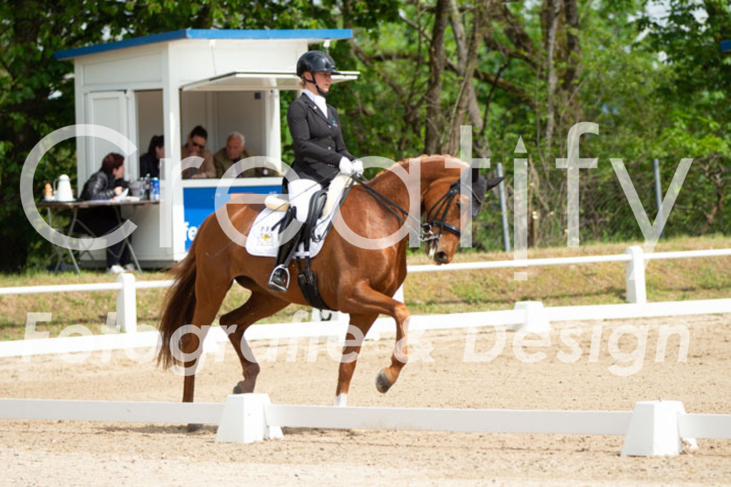 IMG_6778 | Creatify Fotografie