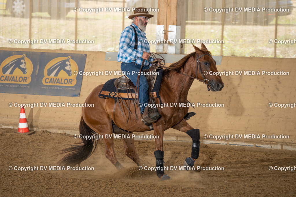 LAU01680 | dv-media-shop - Realisiert mit Pictrs.com