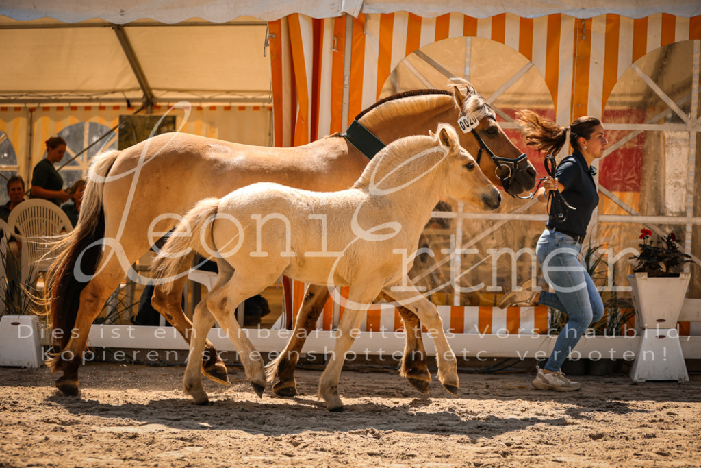 05.DoF00120 | Leoni Ertmer Photography - Realisiert mit Pictrs.com