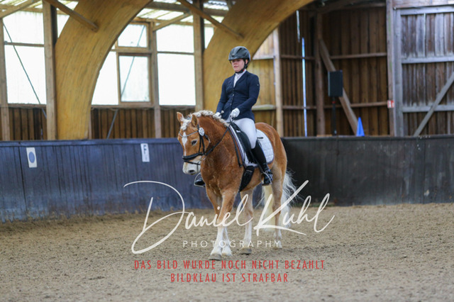 IMG_0342 | Turniersportfotografie; Pferdefotografie; Dressurfotografie