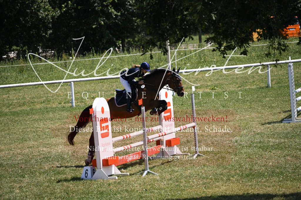 DSC_9930 | Pferde- und Turnierfotografie in Westsachsen. Pferdeportraits, Auftragszeichnungen und intuitive Kunst.
