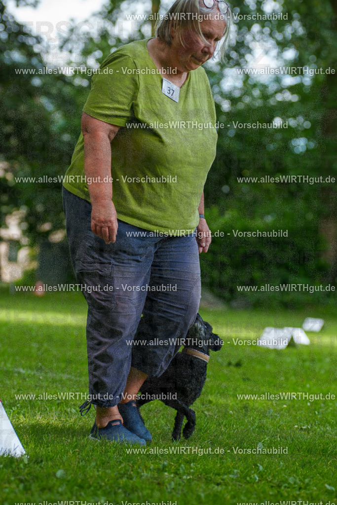 @allesWIRTHgut_Tierfotografie - www.allesWIRTHgut.de - 125027-7R509499 | Professionelle Tierfotografie in Mönchengladbach von Daniel Wirth (allesWIRTHgut). Liebevolle & natürliche Bilder von Hunden & Katzen für unvergessliche Erinnerungen.