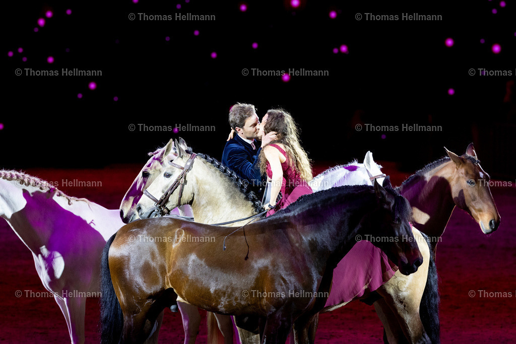 TH_Hop Top Show_26994 | EQUITANA 2025 am 09.03.25 in Essen