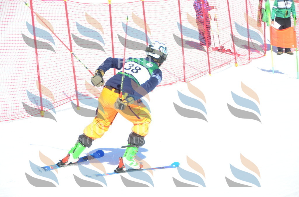 C6997 | holidayphoto