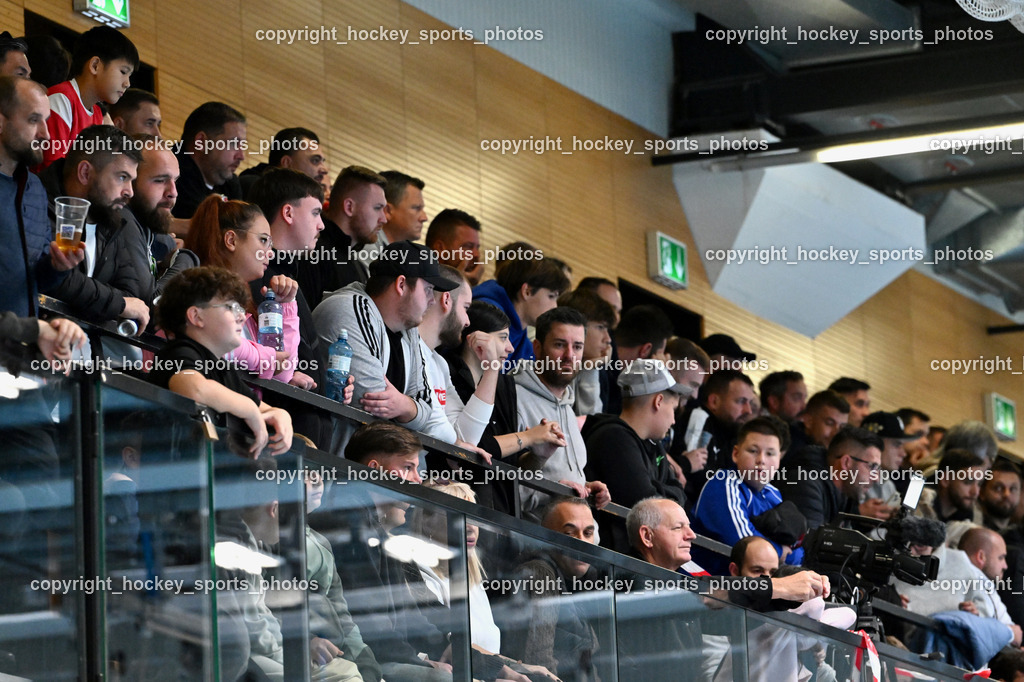 Carinthia Flamengo Futsal Club vs. FC Ljuti Krajisnici | Besucher Ballspielhalle Viktring, Carinthia Flamengo Futsal Club vs. FC Ljuti Krajisnici, Carinthia Flamengo Fusal Club vs. FC Ljuti Krajisnici am 12.10.2025 in Klagenfurt (Ballspielhalle Viktring), Austria, (Photo by Bernd Stefan)