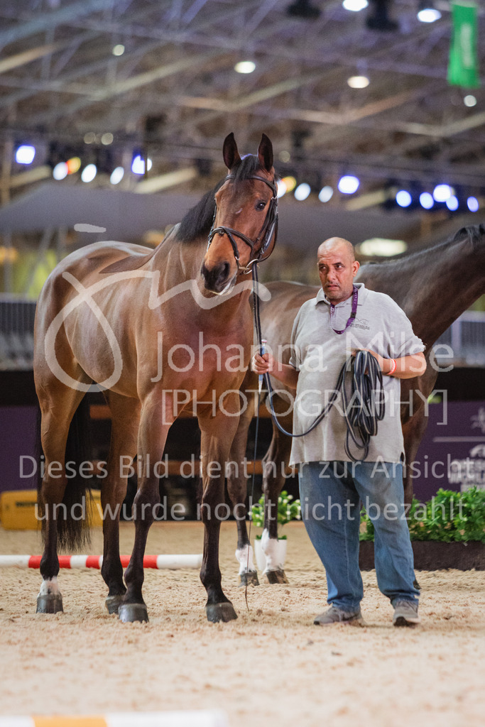 230215_Riyadh_Vet-Check-132 | Deine schönsten Turniermomente als professionelle Fotos! Entdecke hochwertige Pferdesport-Fotografie im Online-Shop. Jetzt Fotos finden & bestellen!