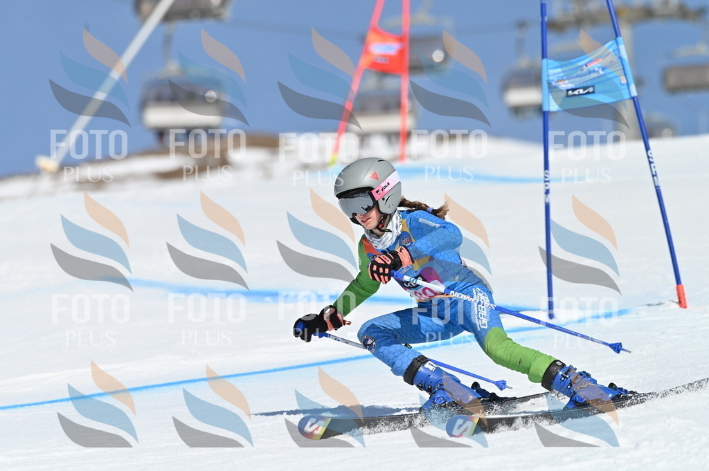 BGV_9071 | holidayphoto