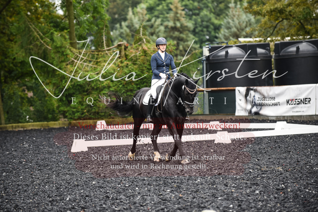 DSC_2855 | Pferde- und Turnierfotografie in Westsachsen. Pferdeportraits, Auftragszeichnungen und intuitive Kunst.