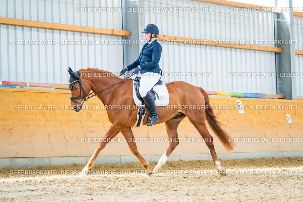 DSC07534 | Pferdegrafie