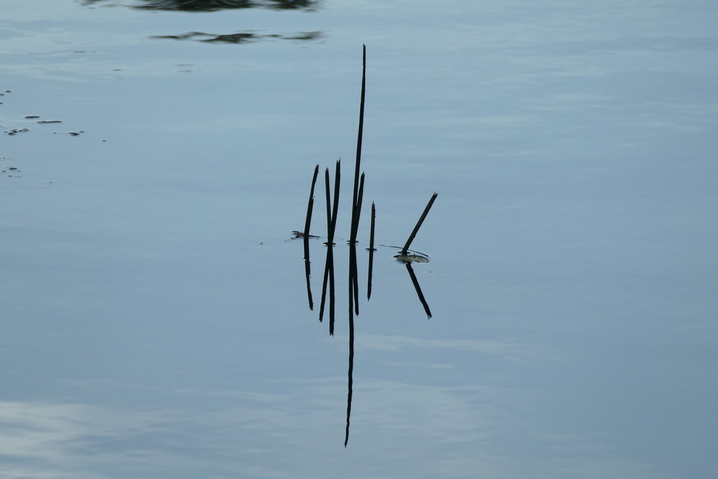 P2580262 | Annaeherungen - Realisiert mit Pictrs.com