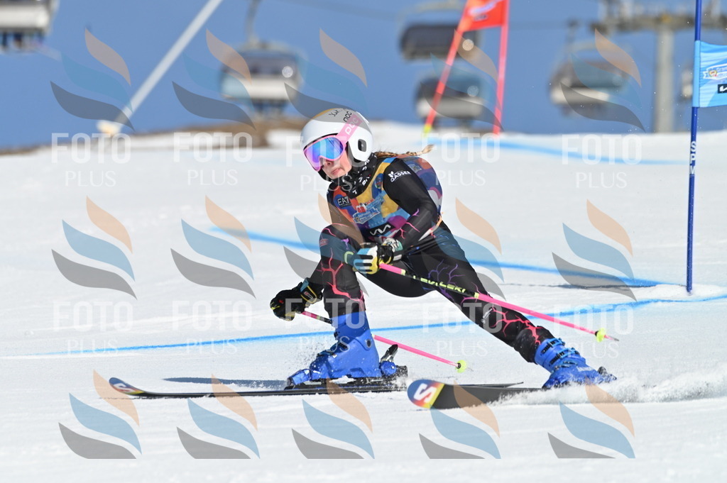 BGV_8294 | holidayphoto