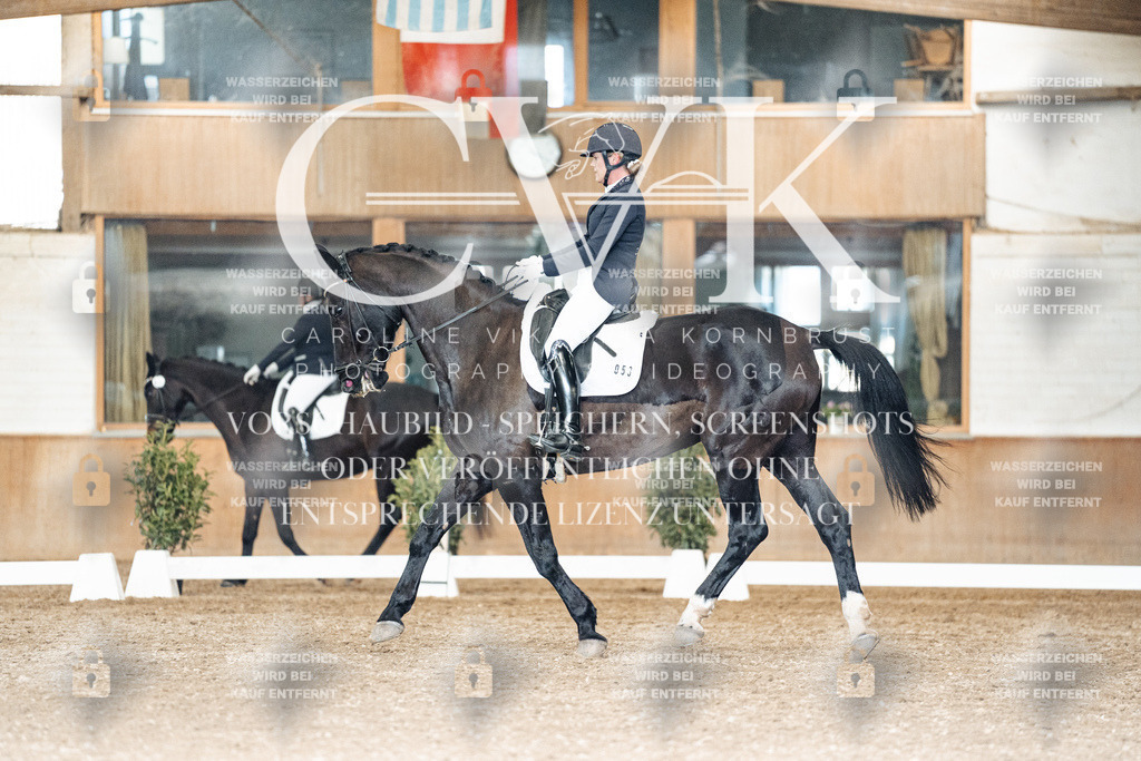 CK902197 | Turnierfotografie Pferdefotografie Trier Rheinland-Pfalz Pferdesport Reitsport Tierfotografie Sportfotografie Pferdevideo Pferdevideografie Equestrianvideography equestrianphotography  - Realisiert mit Pictrs.com