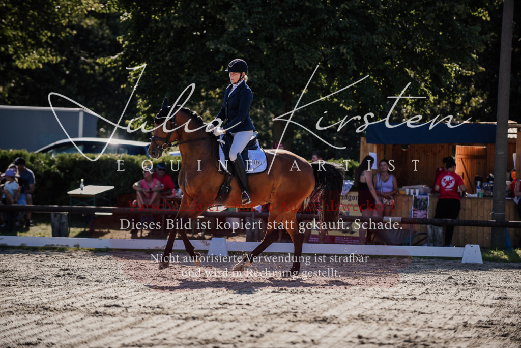 DSC_0407 | Pferde- und Turnierfotografie in Westsachsen. Pferdeportraits, Auftragszeichnungen und intuitive Kunst.