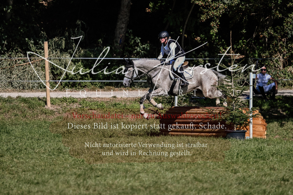 DSC_1391 | Pferde- und Turnierfotografie in Westsachsen. Pferdeportraits, Auftragszeichnungen und intuitive Kunst.