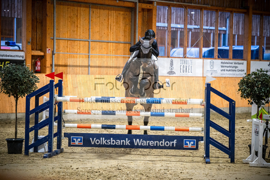 DOS_2719 | Entdecke hochwertige Reitturnierfotos von Foto Oger. Professionell, emotional und authentisch – jetzt Lieblingsmomente im Shop bestellen.Deutschlandweite Turnierfotografie. - Realisiert mit Pictrs.com