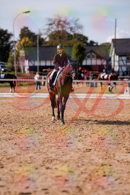 2026_10_03_Siefer-Hof_133915_Z81_99122053 | Professionelle Reitsport-, Turnier- und Eventfotografie von Robert Broda. Galerien mit ausgewählten und bearbeiteten Bildern direkt online ansehen und bestellen.