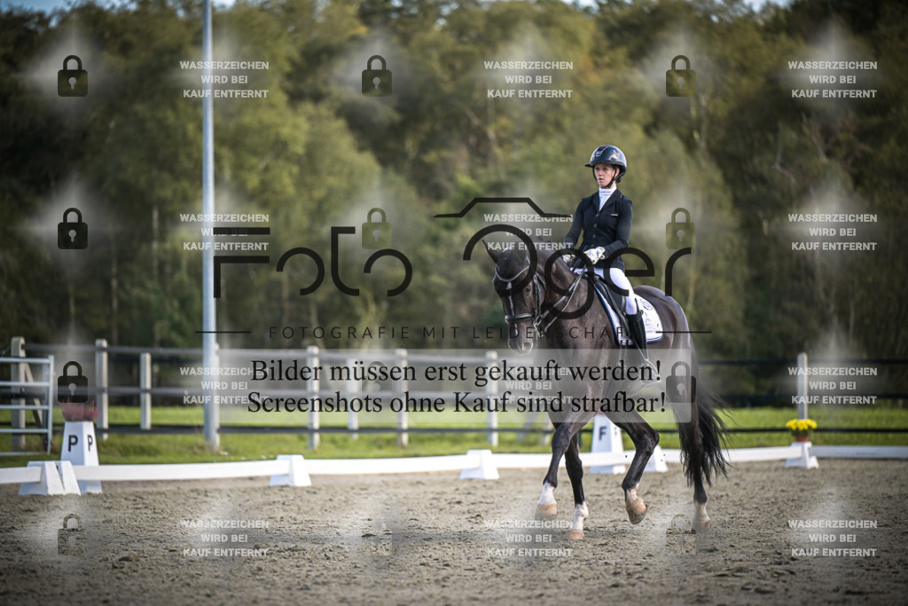 DOS_4170 | Entdecke hochwertige Reitturnierfotos von Foto Oger. Professionell, emotional und authentisch – jetzt Lieblingsmomente im Shop bestellen.Deutschlandweite Turnierfotografie. - Realisiert mit Pictrs.com