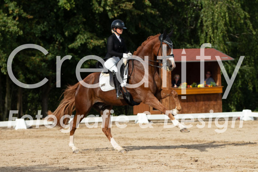 IMG_4261 | Creatify Fotografie