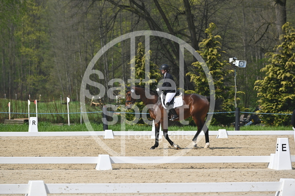 DSC_1060 | sattelsport - Realisiert mit Pictrs.com